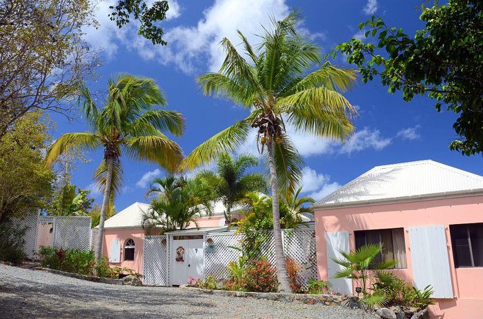 Large coconut palms frame the entrance to Coconuts